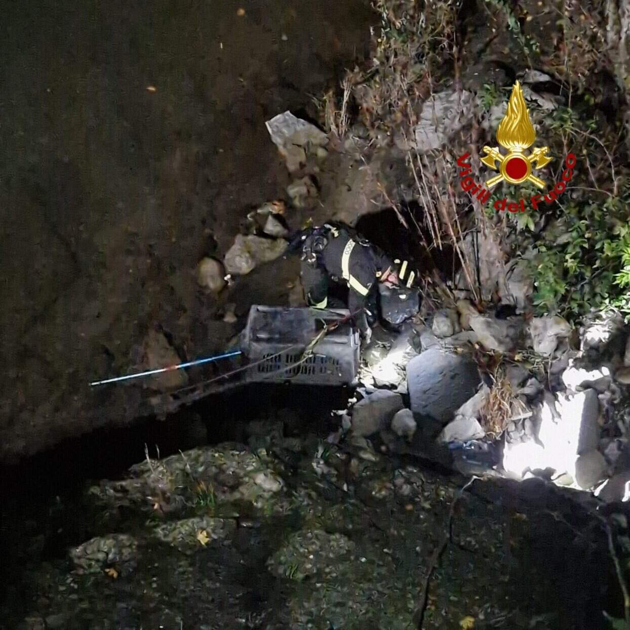 vff_salvataggio_istrice