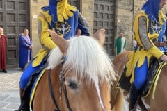 143esima-GIOSTRA-DEL-SARACINO_008