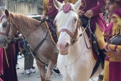 143esima-GIOSTRA-DEL-SARACINO_063