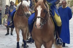 143esima-GIOSTRA-DEL-SARACINO_069