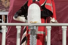 143esima-GIOSTRA-DEL-SARACINO_118