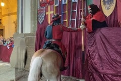 143esima-GIOSTRA-DEL-SARACINO_244