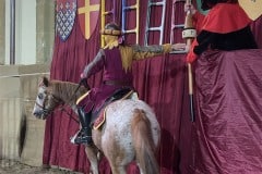 143esima-GIOSTRA-DEL-SARACINO_252