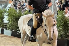 144_PROVA-GENERALE_071