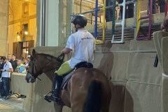 144_PROVA-GENERALE_080