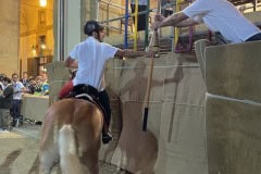 144_PROVA-GENERALE_111