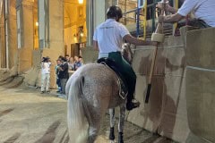 144_PROVA-GENERALE_137