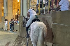 144_PROVA-GENERALE_138