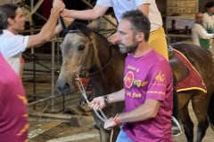 144_PROVA-GENERALE_141