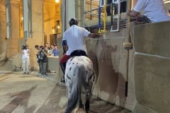 144_PROVA-GENERALE_162