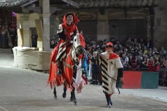 145°-GIOSTRA-DEL-SARACINO_28
