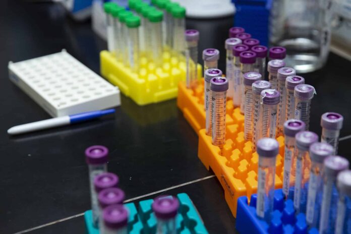 laboratorio-ricerca-virus-coronavirus-covid-19-provette