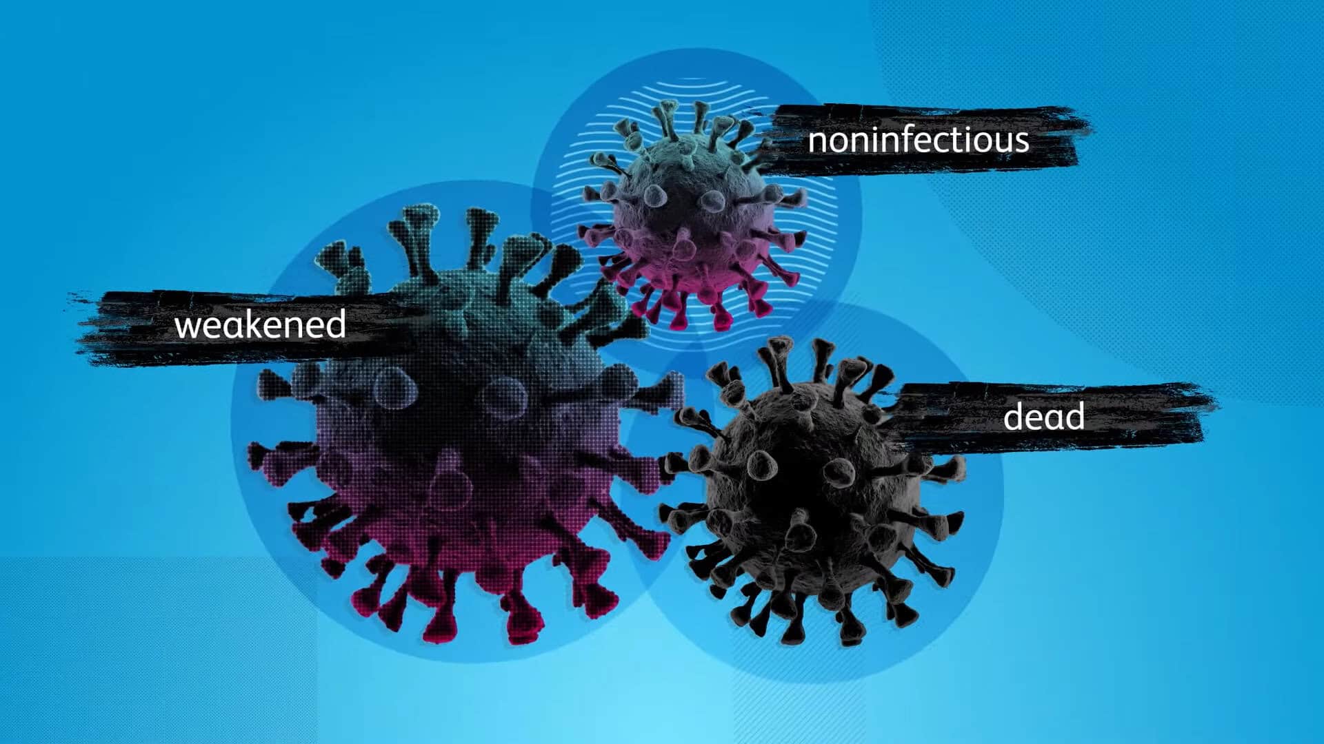 Che cosa dicono i documenti riservati di Pfizer BioNTech