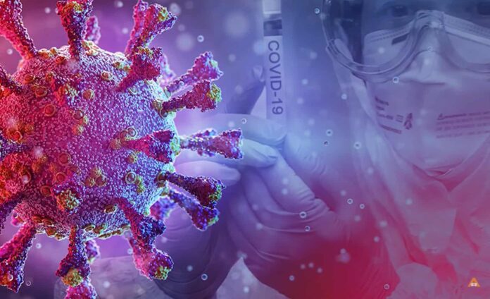 coronavirus-covid-19