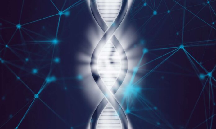 dna-catena