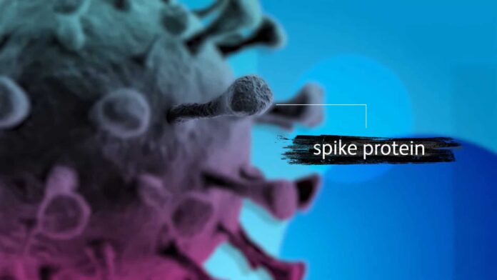 I nuovi documenti Pfizer pubblicati da FDA rivelano nuove informazioni sul trial di sperimentazione