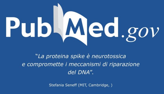 La proteina spike è neurotossica e compromette i meccanismi di riparazione del DNA