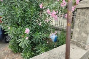 Degrado alle porte del Pionta di Arezzo