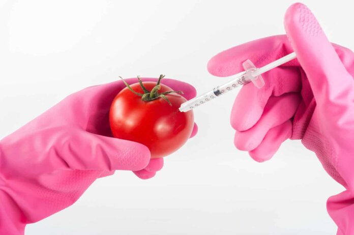 ricerca-genetica-manipolazione-laboratori