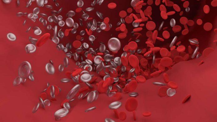 sangue-covid-19-coronavirus-sistema-venoso