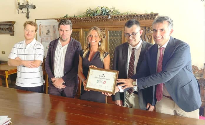 comitato sava-chiassai