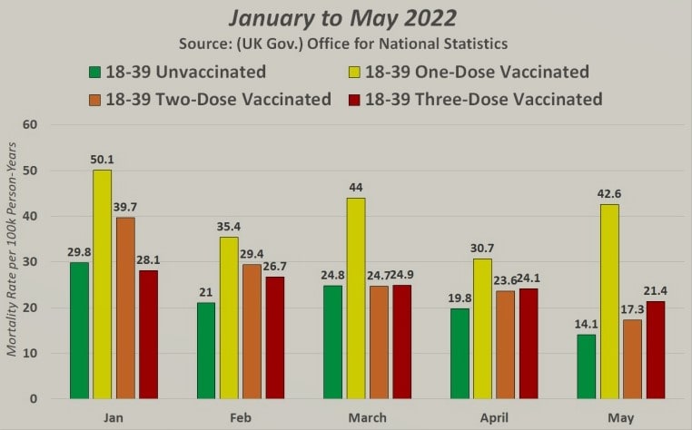 Report tassi di mortalitร etร , stato di vaccinazione Inghilterra