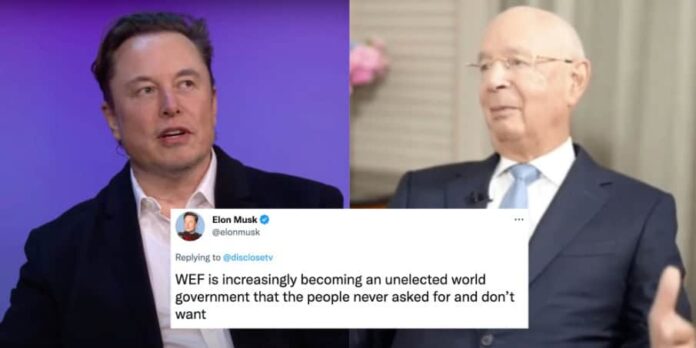 Elon Musk cinguettio