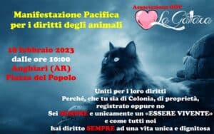 Ad Anghiari la manifestazione dell'associazione "La Gattara"