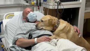 Ospedale con cane