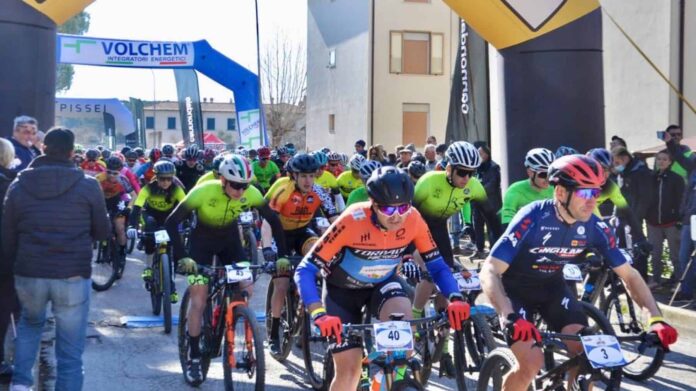 Bacialla Bike