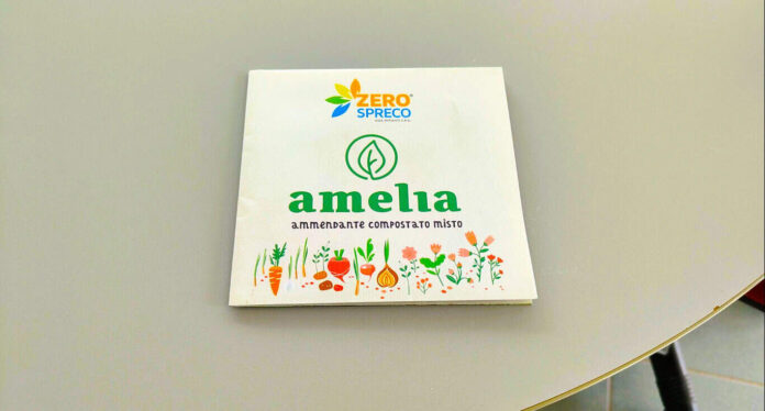 Amelia compost 2