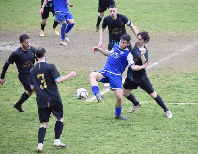 Guazzino Faellese 2023