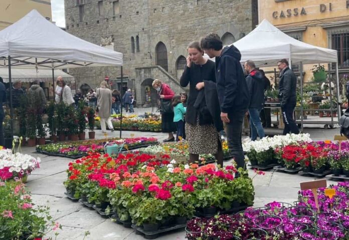 fiera fiore rame cortona 6