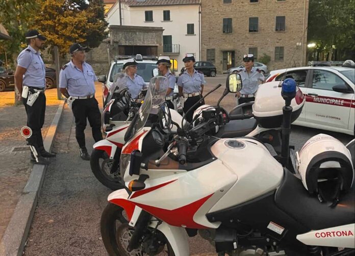pm cortona 7