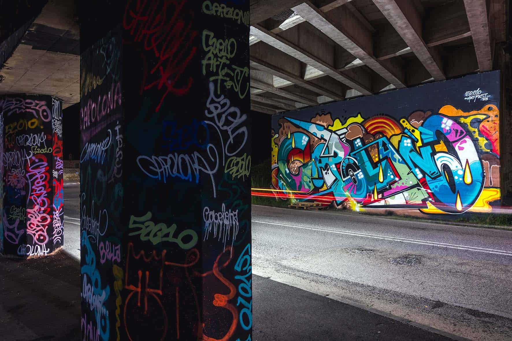 Noidellescarpediverse - 52010 Art Festival (4)