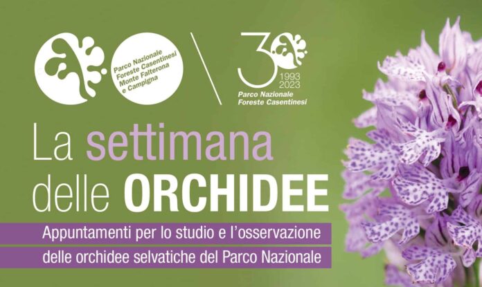 Parco locandina Orchidee Maggio 2023-2_page-0001