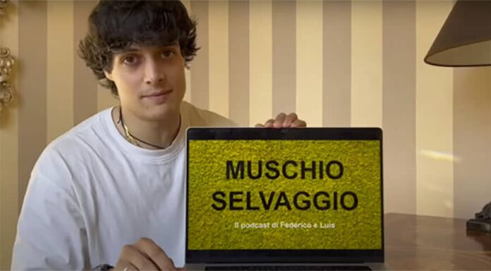 Luis Sal