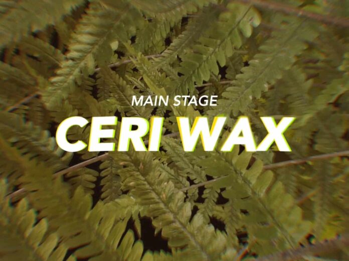 Ceri Wax Mengo Stai 2023