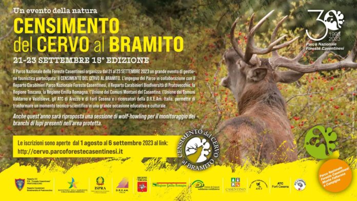 LOCANDINA CERVO ORIZZONTALE