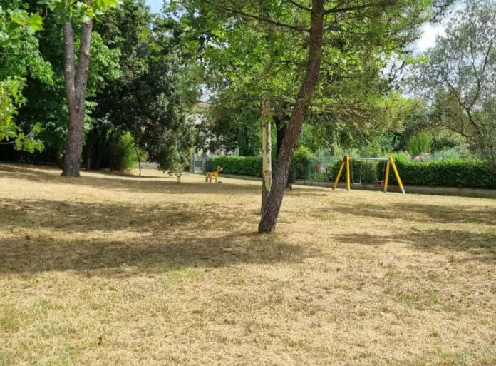Parco San Giuliano (1)
