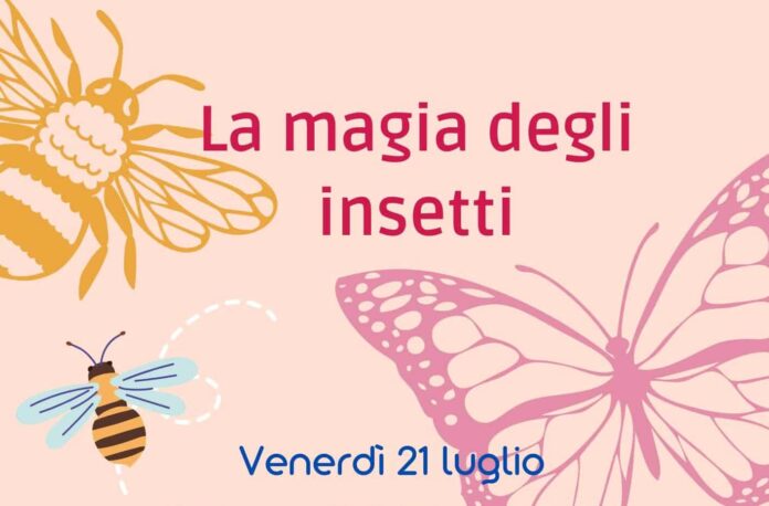 Fraternita Laici laboratori 2023