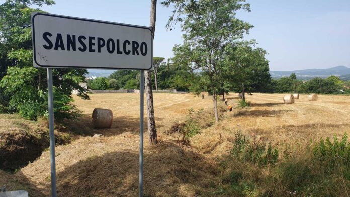manutenzione consorzio (3)