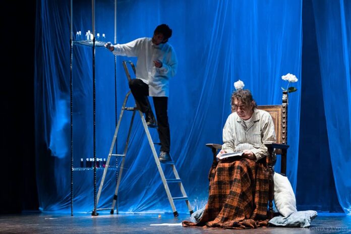 Terre in Festival 2023 - IL MALATO IMMAGINARIO
