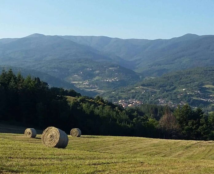 Casentino