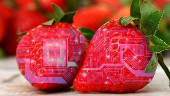 Microchip nella frutta