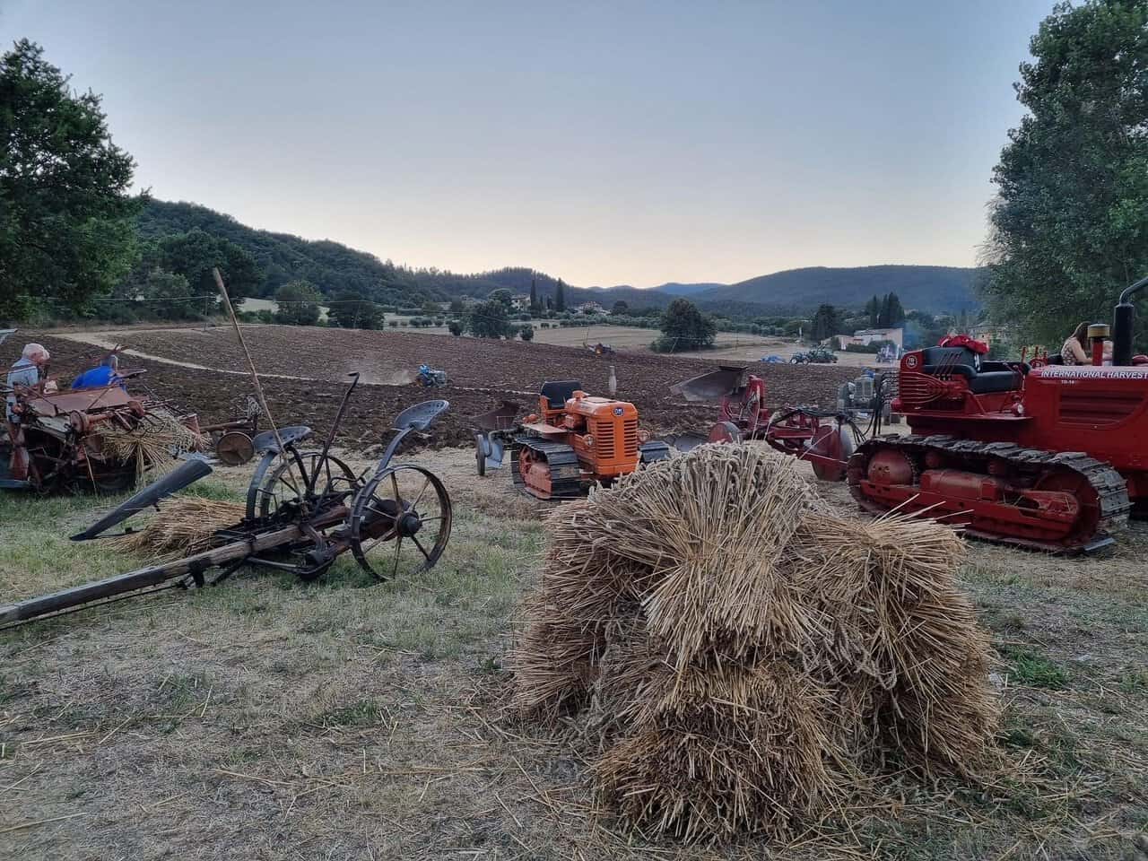 Festa battitura Anghiari