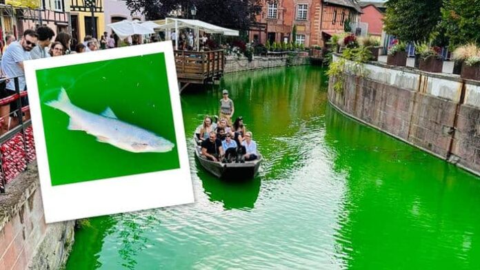 Acque di Colmar