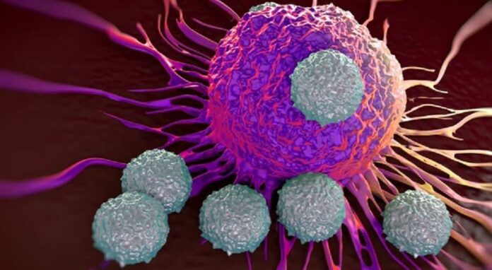 Cancro