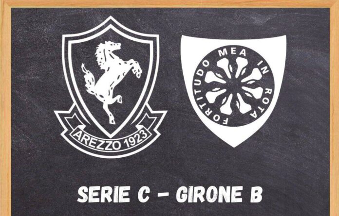Arezzo Carrarese 2023