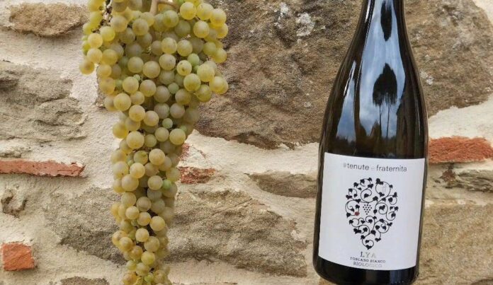 Tenute Fraternita Lya Toscano Vino